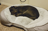 Max - Photo 5