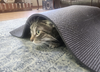 Butters - Photo 9