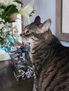 Butters - Photo 8