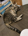Butters - Photo 6