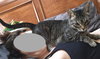 Butters - Photo 4