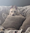 Stella - Photo 6