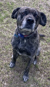 Yeager - Photo 3