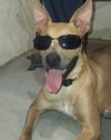 Buddy - Photo 3