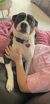Katie - Photo 2