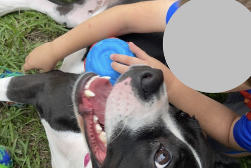 Katie — thumbnail 5