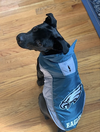 Riley - Photo 2