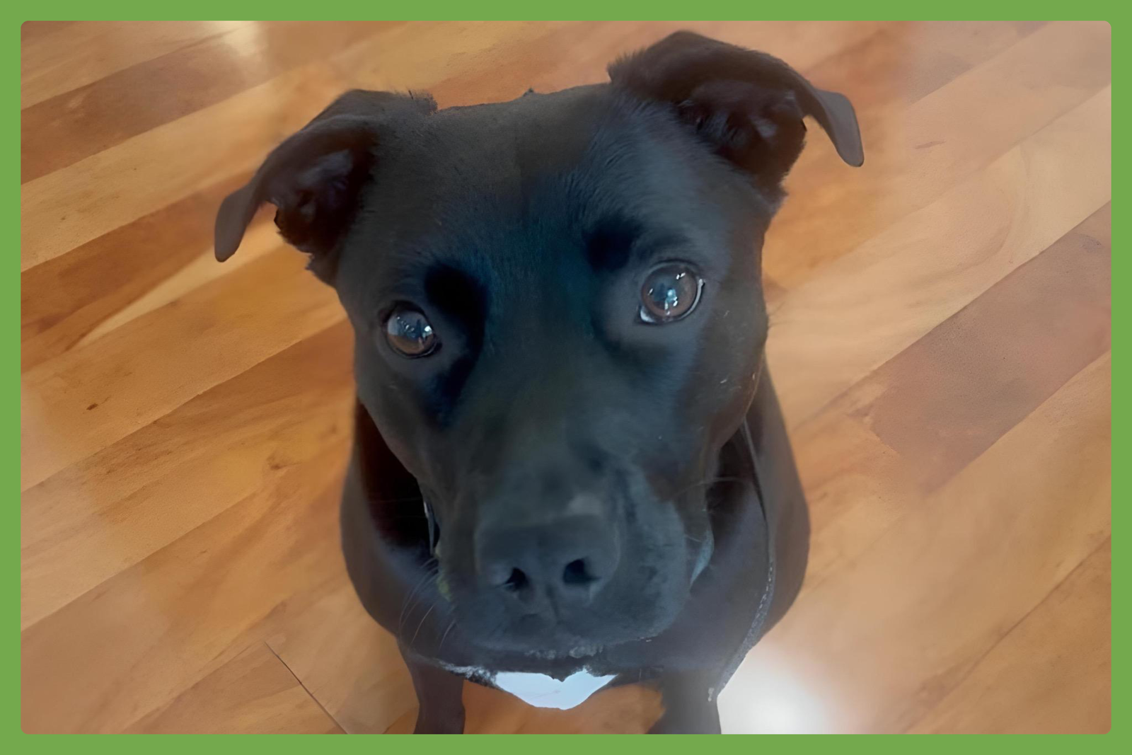 Riley Image