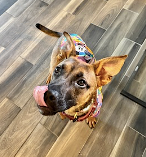 Gigi — thumbnail 8
