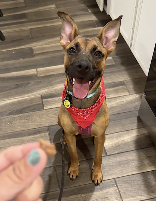 Gigi — thumbnail 9