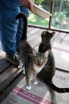 Chalky and Rusti - Photo 4