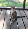 Chalky and Rusti - Photo 7