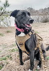 Bella - Photo 8
