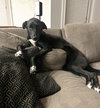 Bella - Photo 10