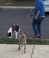 Kalle and Maya - Photo 6