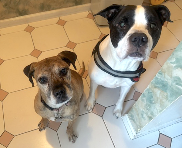 Kalle and Maya