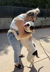 Boogie - Photo 2