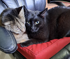 Danny and Lilbit - Photo 3