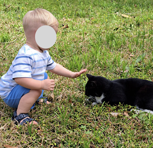 Photo 5 of Cali and Tommy
