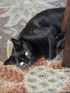 Barry - Photo 9