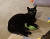 Barry - Photo 6