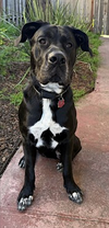 Storm - Photo 5