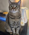 Coco - Photo 2