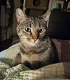 Coco - Photo 4