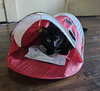 Charlie and Peanut - Photo 6