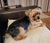 Chloe - Photo 4