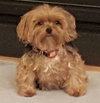 Chloe - Photo 3