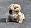 Chloe - Photo 7