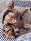 Chloe - Photo 5