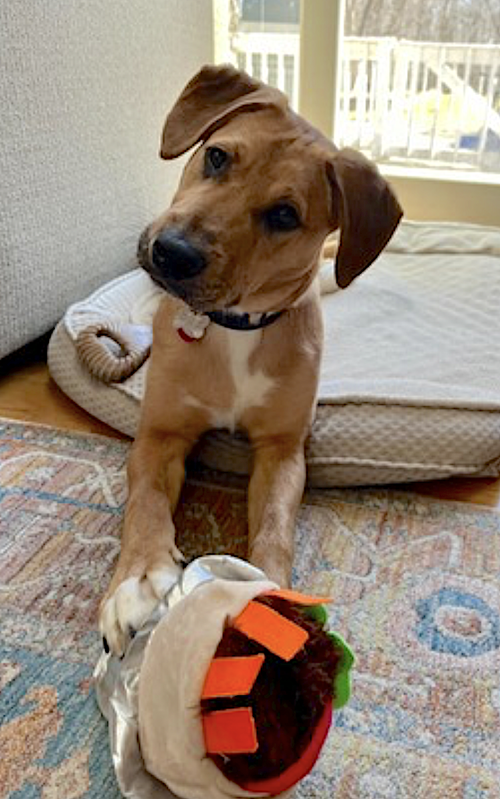 Murphy — thumbnail 5