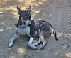 Zero - Photo 6