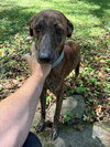 Gage - Photo 2