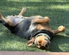 Mocha - Photo 5