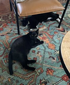 Ash and Indy - Photo 5