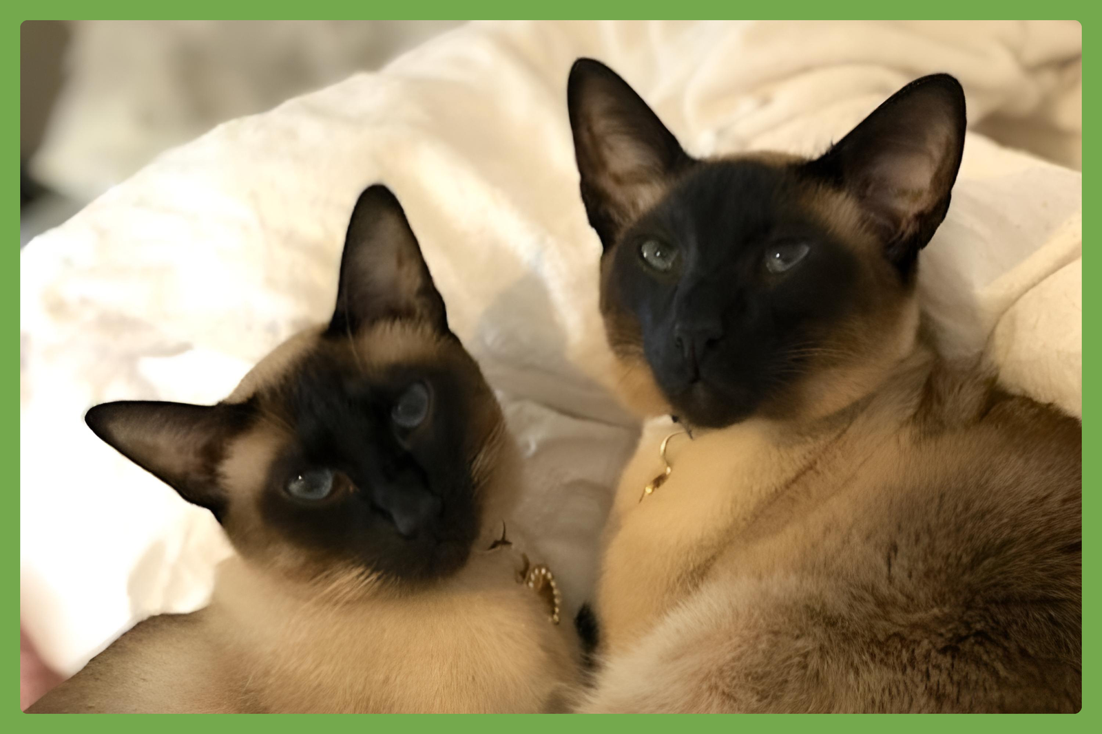Donna and Sachi Image