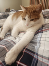 Oscar - Photo 6