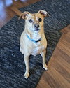 Duncan - Photo 2