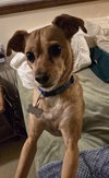 Duncan - Photo 3