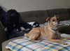 Duncan - Photo 5