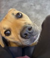 Mia - Photo 3