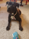 Lola - Photo 2