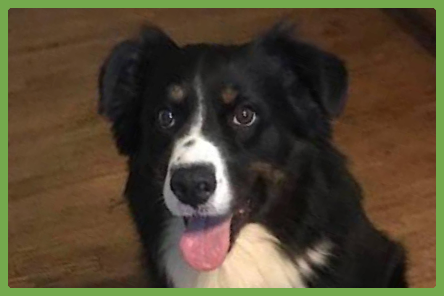 Kody Image