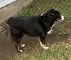 Kody - Photo 4