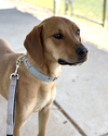 Cooper - Photo 5