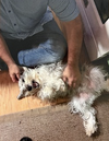Harley and Marvel - Photo 4