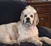 Charlie - Photo 4